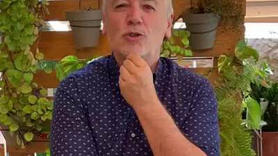 Fotograma del vídeo