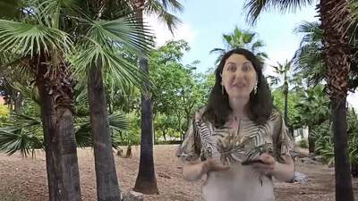 Fotograma del vídeo